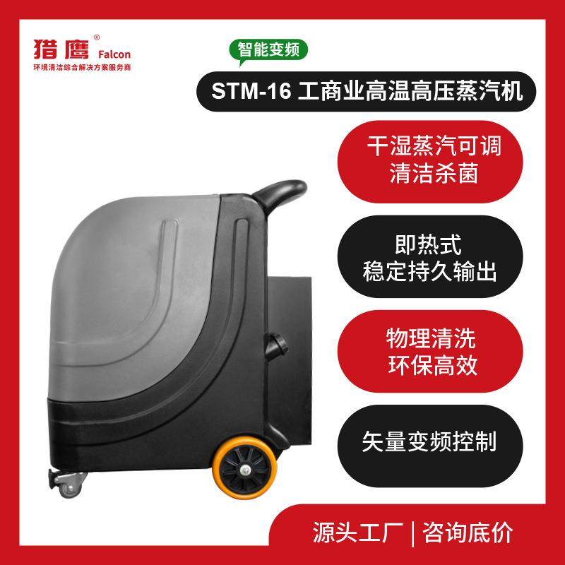 STM-16高温高压蒸汽清洗机工厂用即热大功率纯物理剥离工业级