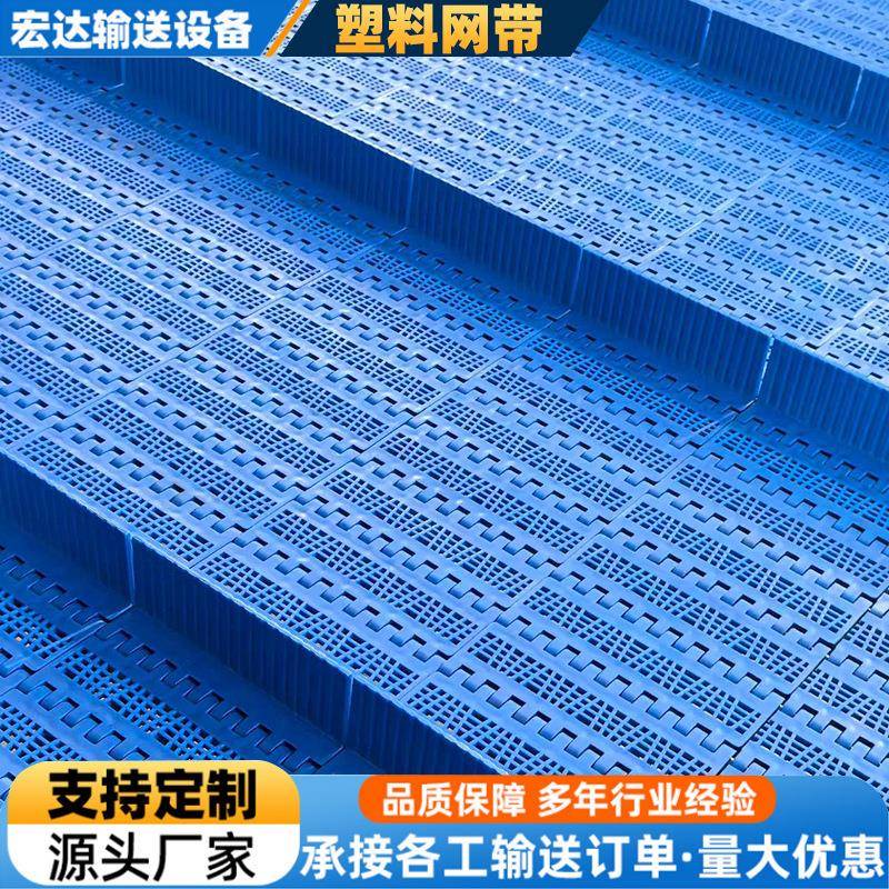 pp食品塑料网带传送带耐高温果蔬药材清洗烘干流水线挡板式网带