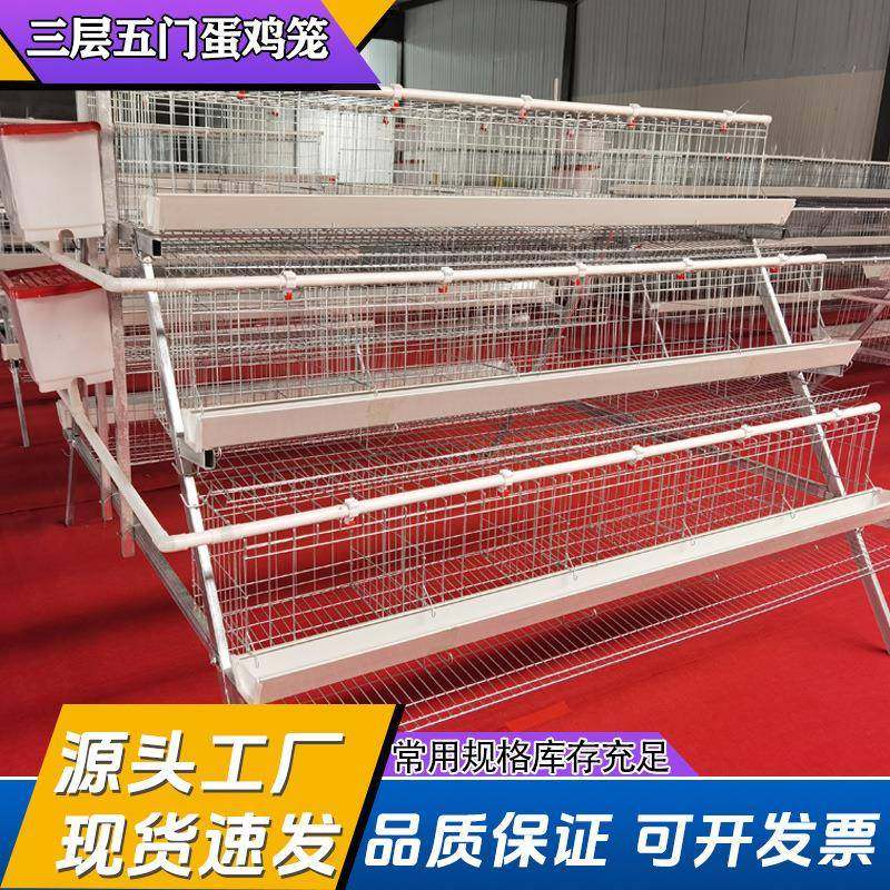 阶梯蛋鸡笼方管支架养殖设备三层五门冷镀锌热镀锌加粗加密鸡笼子,农机/农具/农膜,农用防护器具,淘宝优惠券,粉丝福利购,淘宝优惠卷