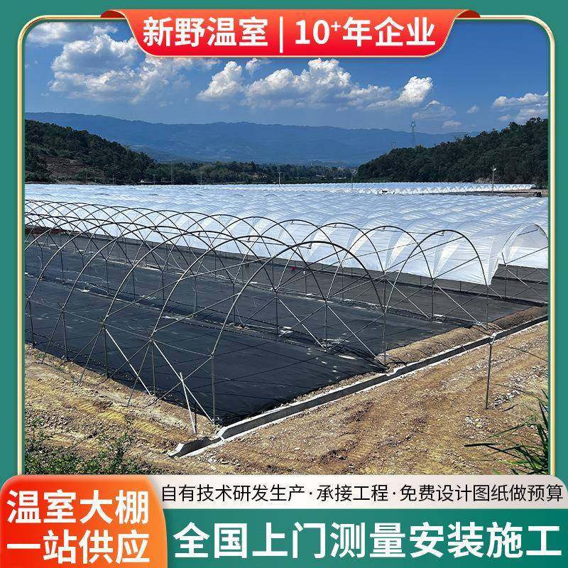 简易蓝莓避雨棚新野承接温室大棚厂家葡萄樱桃种植棚采光良,农机/农具/农膜,智能温室设备,淘宝优惠券,粉丝福利购,淘宝优惠卷