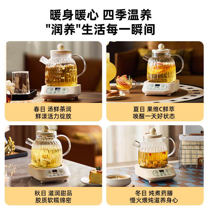 生养壶家用多功能煮器电热烧水茶花茶壶办YSH-101c2公室小型205新