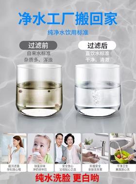 水diy净16752器ro反渗透前过滤器家用直饮厨自来水厨下式置净房水