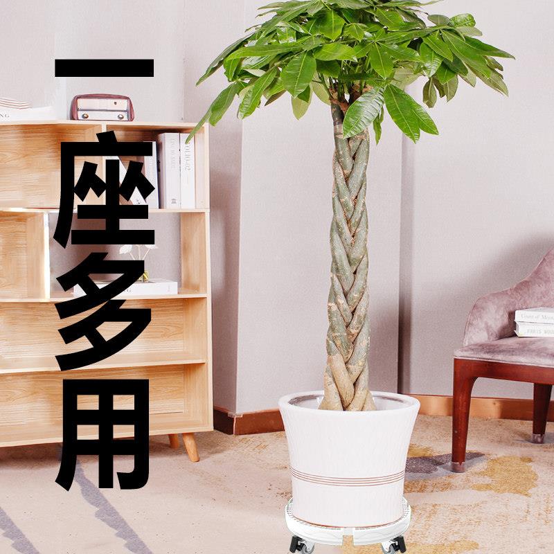圆形大盆栽托 托盘空调物底座托 置托架移动架万向轮支架通用机柜