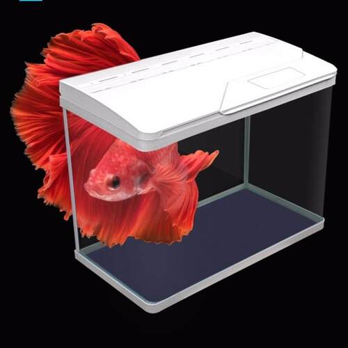 鱼缸水族箱中小型桌面玻璃鱼缸缸热带鱼缸客厅生态缸