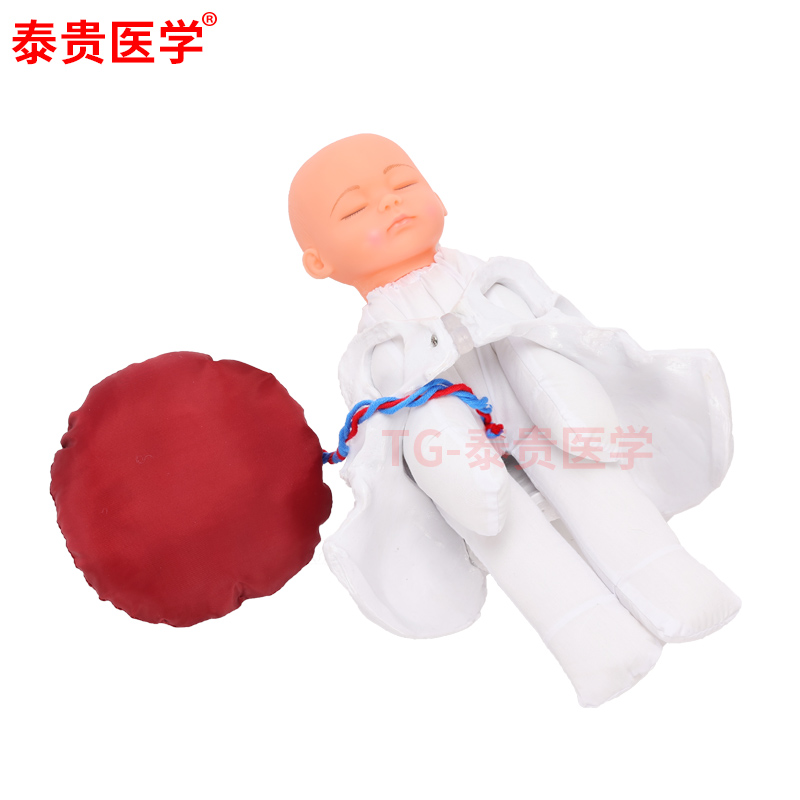 分娩示教骨盆和娃娃模型女性产后修复助产训练胎儿生育医学演示模