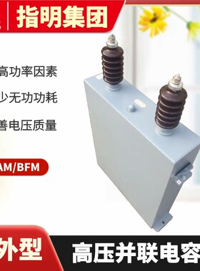 指明集团 单相高压电力电容器 BFM11-100-1W 高压并联电容器