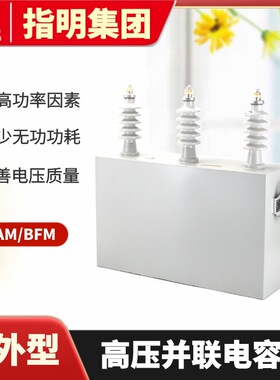 指明集团BFM11-100-3W  三相高压电力电容器系列 高压并联电容器