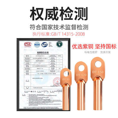 DT铜鼻子接头铜线鼻线耳电缆接线端子8/10/25/35/70平方堵油型