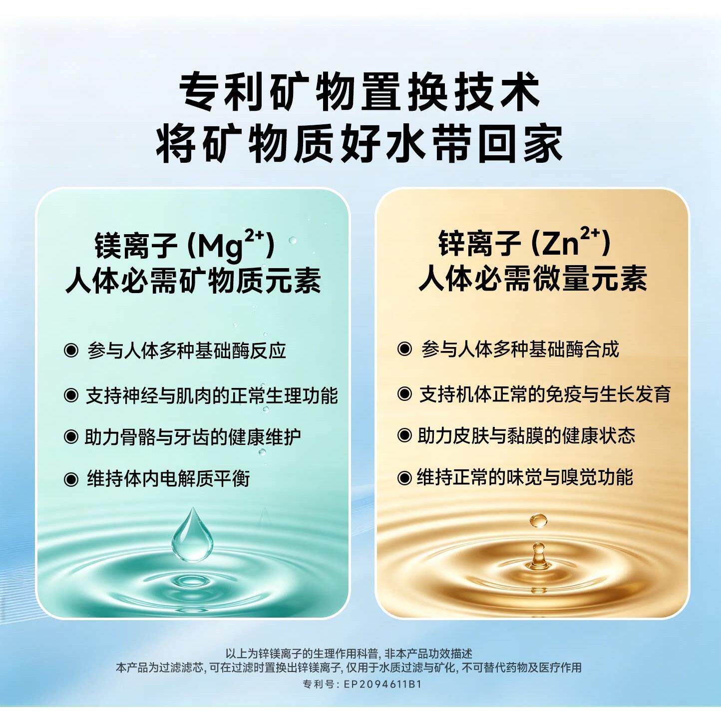 【可直饮】德BIMMWT倍镁世净水壶超滤矿化泡奶进离子滤国口芯滤水