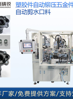汽车电子铆接机 注塑件自动铆接钢套设备riveting machine压铆机