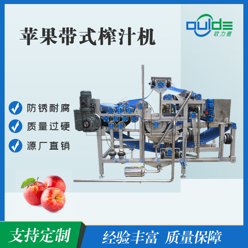 厂家优惠全自动工业果蔬榨汁机不锈钢蔬菜水果脱水苹果梨子柠檬