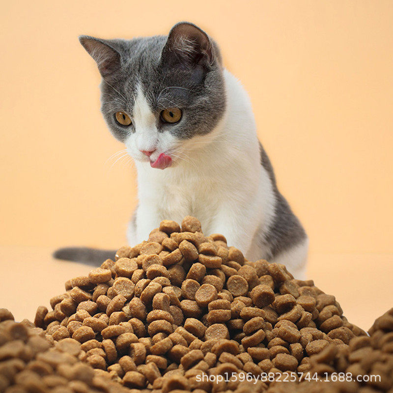 3.宠物猫粮膨化机加工优势全套犬粮生产线使用教程