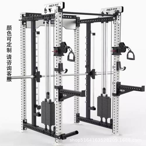 REP综合训练架小飞鸟龙门架多功能商用健身器材家用深蹲架卧推架