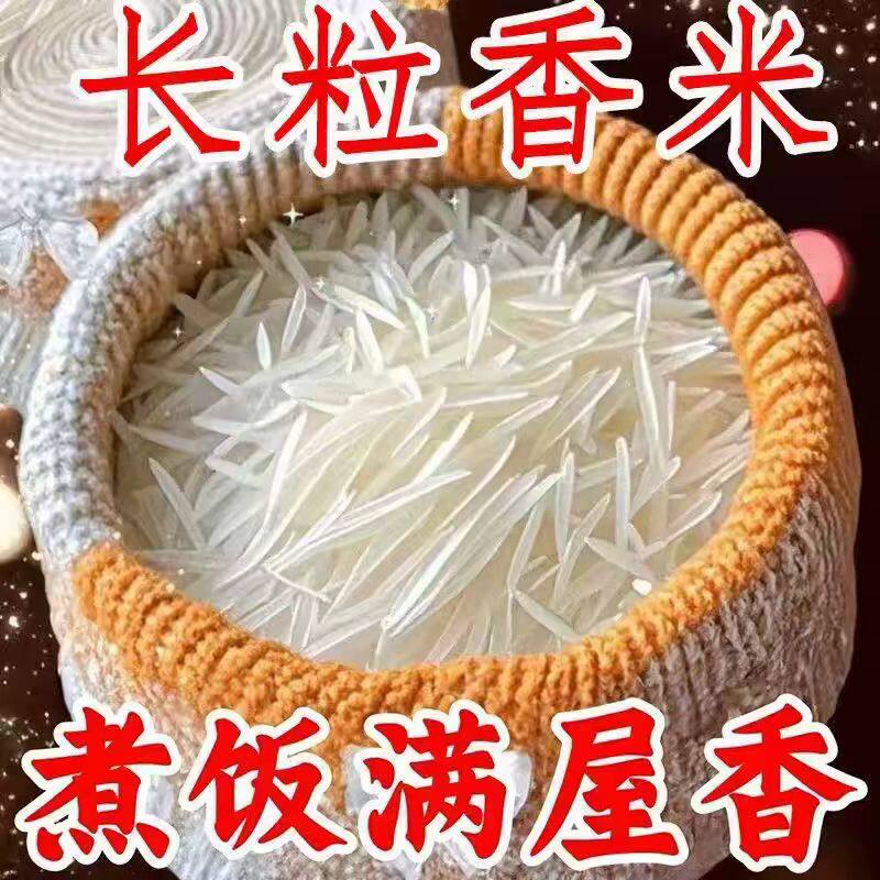 当季现磨农家新米长粒香米猫牙米产地直供丝苗米煮饭清香不沾大米