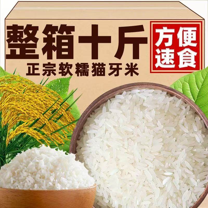 猫牙米20斤农家自产当季新米糙米新鲜现磨生态优质好大米自然香甜,粮油调味/速食/干货/烘焙,大米,淘宝优惠券,粉丝福利购,淘宝优惠卷