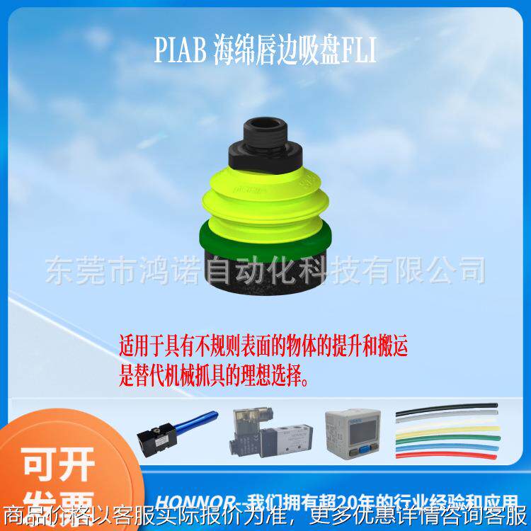 派亚博 海绵唇边吸盘 G.FLI50S.B1.S1.G8M.00 990074 现货