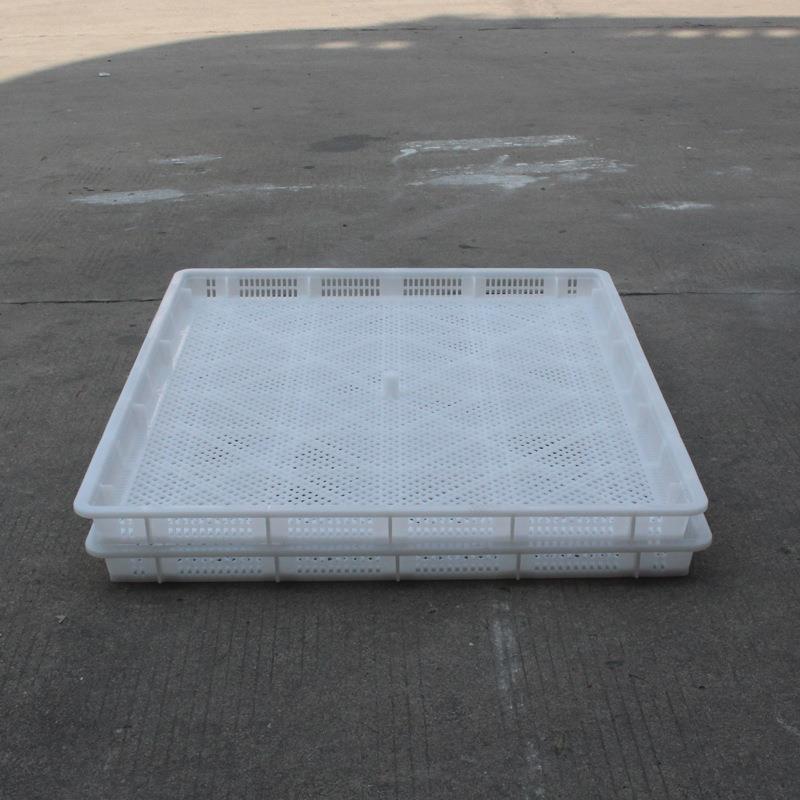 生产供应平角单冻器全新料大眼镂空塑料冷冻盘直销云南哈尔滨长春