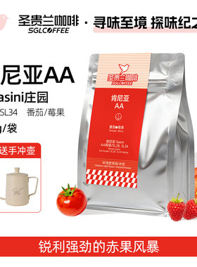 SGL圣贵兰咖啡豆肯尼亚AA等级Sasini庄园番茄风暴精品手冲咖啡豆