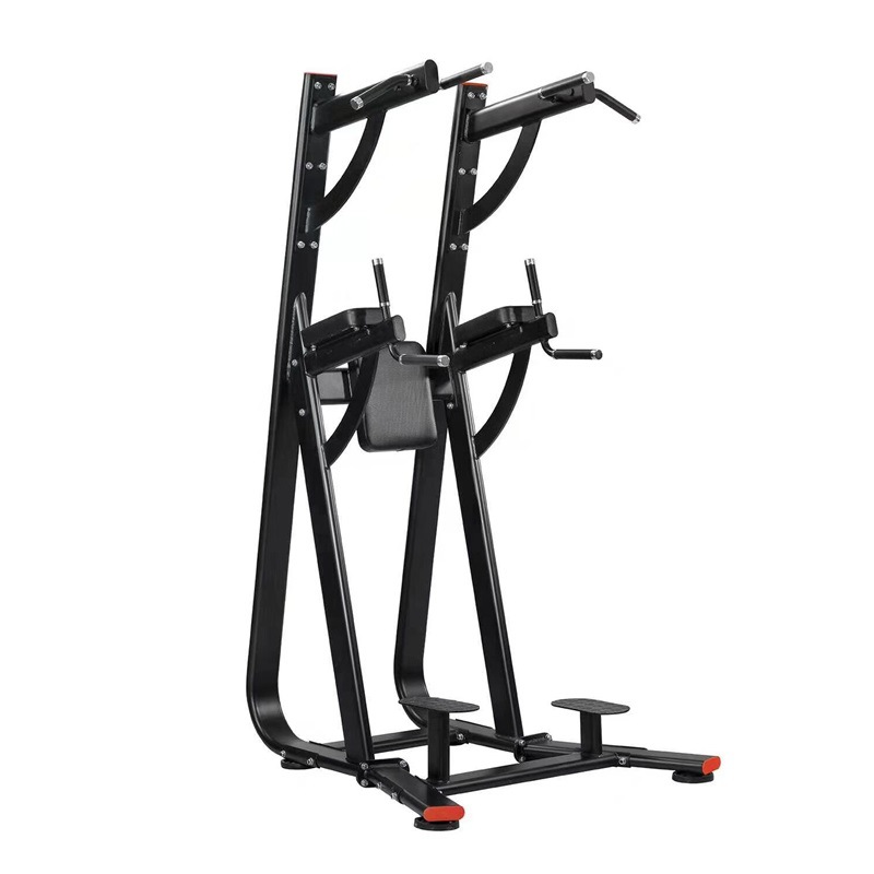 韦步WF-2019 家商用单双杠引体向上室内上肢臂屈伸抬腿提膝训练架