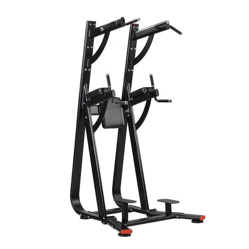 韦步WF-2019 家商用单双杠引体向上室内上肢臂屈伸抬腿提膝训练架