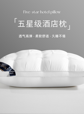 五星级酒店枕头护颈椎助睡眠专用枕头芯单人一只装枕芯家用一对男