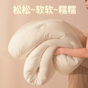 通用 被单人180cmx220四季 2025新款 被子冬被加厚10斤保暖被芯冬季