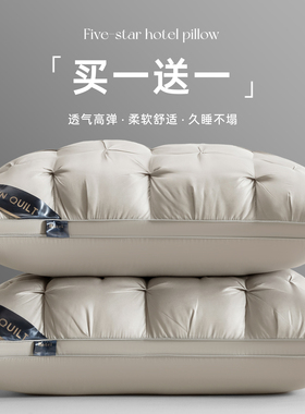 2025新款家用枕头枕芯护颈椎助睡眠颈椎专用枕头高枕枕头芯一对男