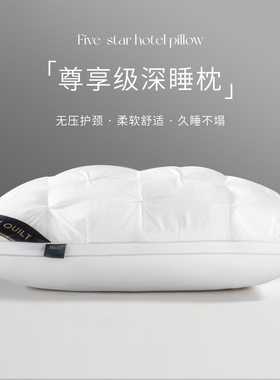 五星级酒店枕头护颈椎助睡眠专用枕头芯单人一只装枕芯家用一对男