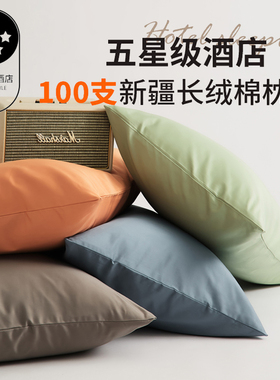 2025新款枕套100全棉纯棉枕头套48cmx74cm枕芯外套整套枕头外套