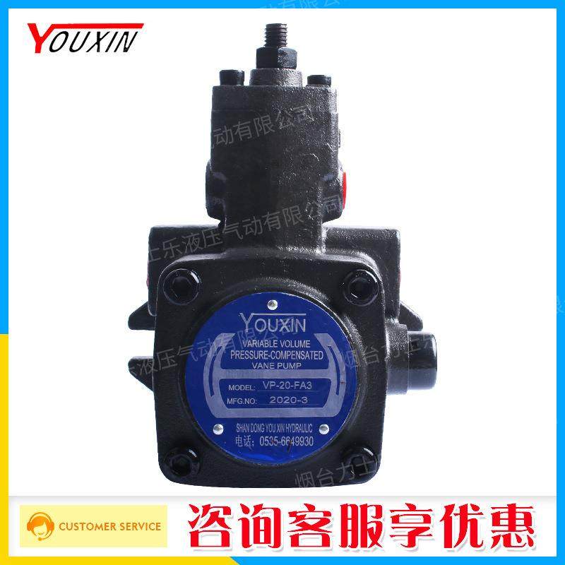 友信变量叶片泵VPV1-20-70=VP20FA3,标准件/零部件/工业耗材,液压泵,淘宝优惠券,粉丝福利购,淘宝优惠卷