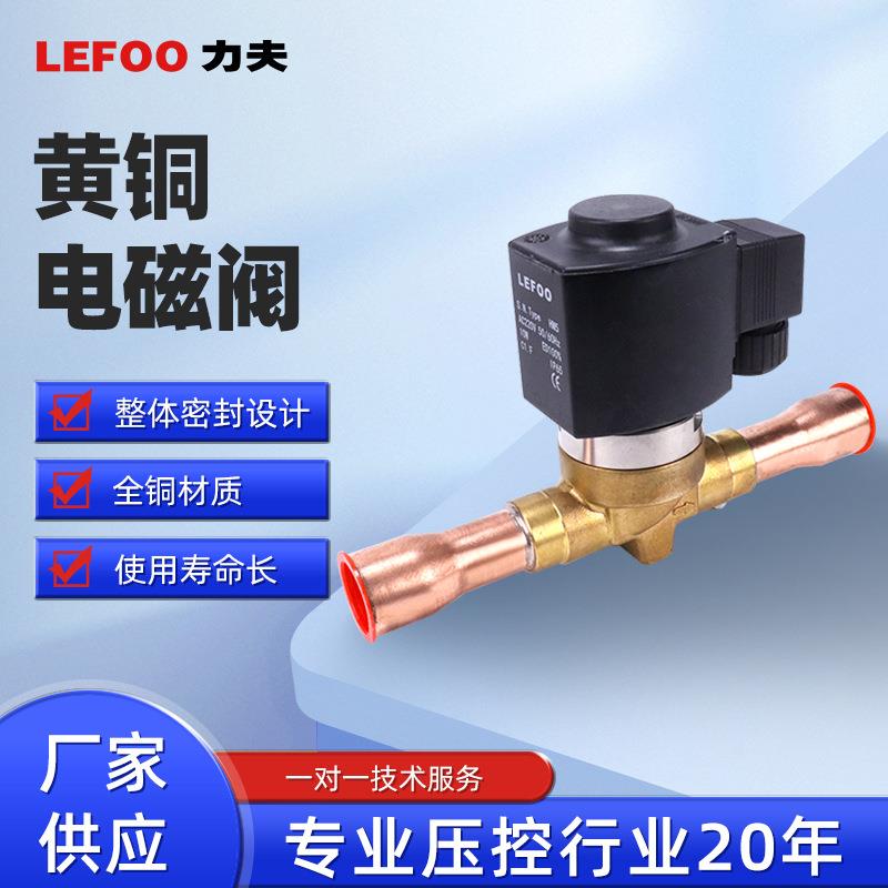 LEFOO220v24v常闭先导活塞式蒸汽阀高温高压法兰黄铜制冷电磁阀