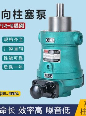 10SCY25SCY40SCY63SCY80SCY160SCY250SCY14-1B轴向柱塞泵