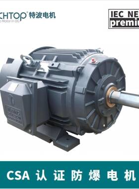 NEMA标准油田防爆电机Class1Div2等级防爆UL/CSA防爆认证
