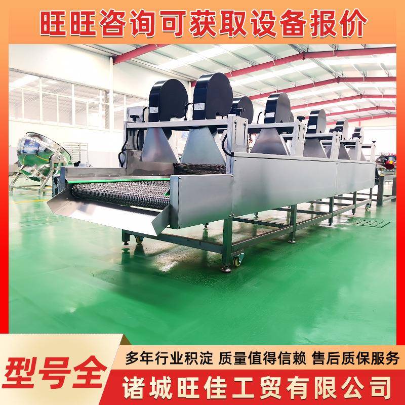 翻转式果蔬风干机大白菜风干机包装食品除水干燥风干加工设备