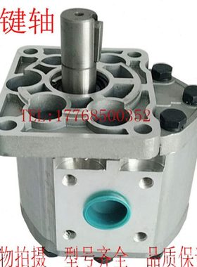 CBN-G520 CBN-G563 CBN-G532 CBN-G540 CBN-G550 CBN-G580齿轮泵