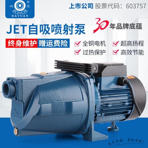 大元水泵家用220V喷射泵自来水增压泵水井抽电机高扬程深井自吸泵