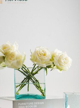 HERMOSO 轻奢浅蓝汽泡方形玻璃花瓶摆件客厅插花透明水养餐桌饰品