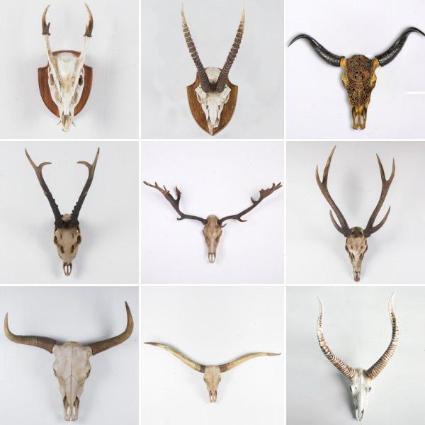 鹿头牛头羊头动物头骨创意家居壁挂 特色墙饰壁饰软装装饰工艺品,家居饰品,壁饰,淘宝优惠券,粉丝福利购,淘宝优惠卷