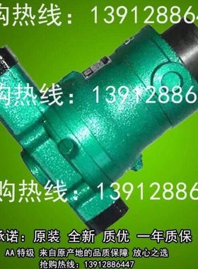 10YCY 25YCY 40YCY 80YCY 63YCY 100MCY 160MCY14-1B轴向柱塞泵