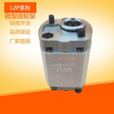 CBK-F4.8 F2.1 F2.6 F3.2 CBK-F4.2 L2P-F5.8 L2P-F3.2液压泵