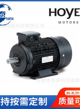 MS56247124HMA3HMA2802490L4100L4112M4MS132M4工业电机