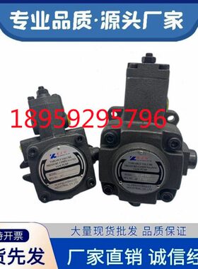 VP-20-FA3叶片泵VP-30-FA2花键九齿VP-40-FA1台湾科正油泵VP08/15