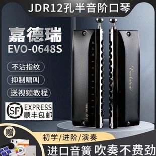 嘉德瑞C6调音半音阶C调EVO-0648s口琴12孔十二孔专业演奏级初学者