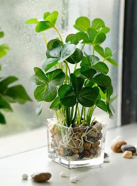 创意仿真植物假摆件客厅办公室桌面小盆栽室内装饰花多肉家居饰品