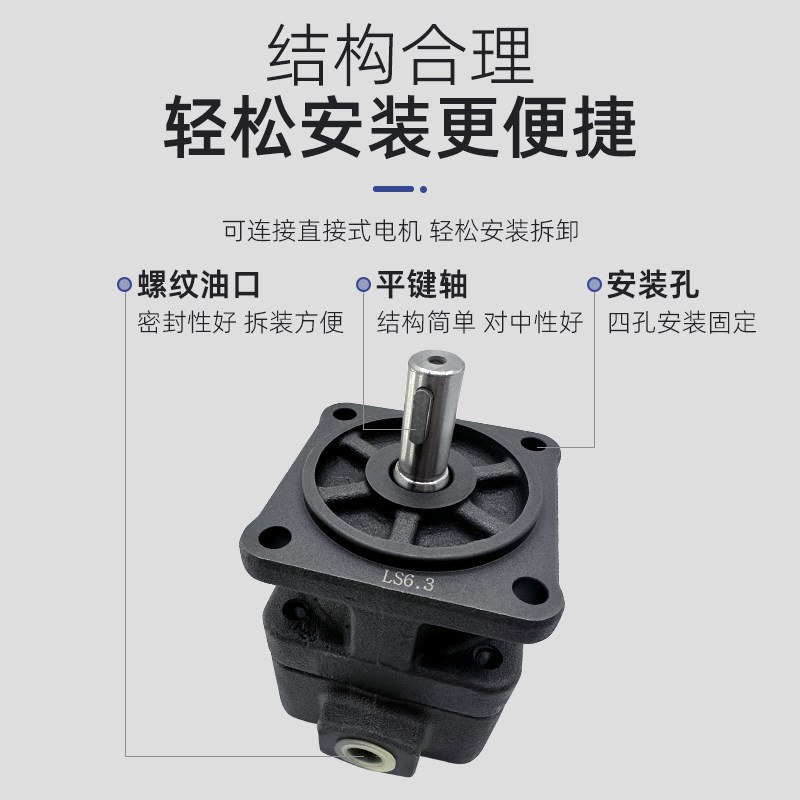 YLC永灵叶片泵YB1j100/80/63/50/40/32/25/20/16/12/10/63/4/2