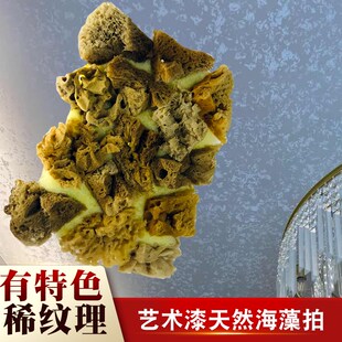 天然海藻拍三色珠光大花稀疏花纹斑点纹理拍花工具刷艺术漆海绵刷
