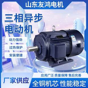 全铜线圈电机厂家直销 立式 YE3 YE4系列三相异步电动机卧式