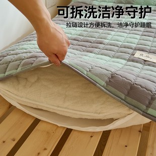 学生专用床垫 2024新款 可拆洗棉花床垫双面可用款 四季 床褥开学季