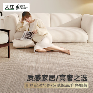 客厅2024新款 大江地毯意式 免打理茶几毯轻奢高级床边毛毯卧室地垫