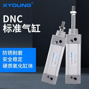 A带磁标准气缸DNC40 气动DNC40 PPV 100标准o气缸DNC40